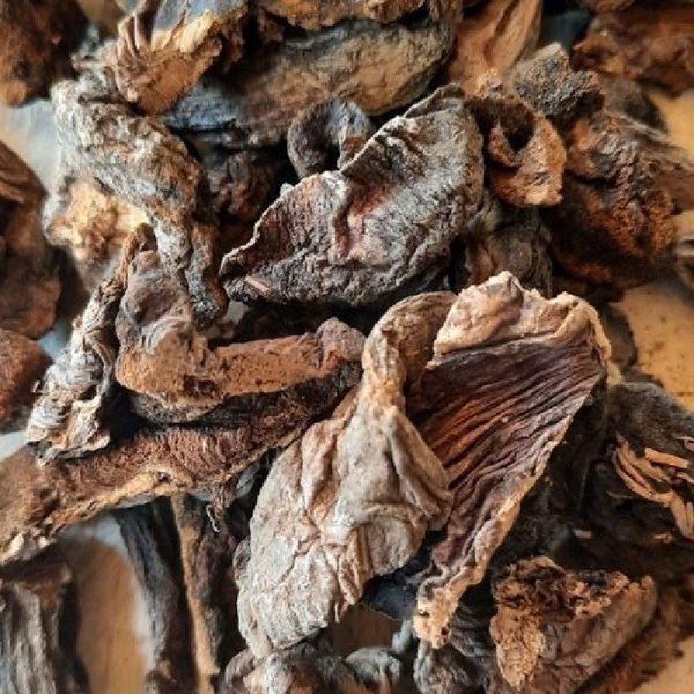 Hongos Chilenos x 250gr